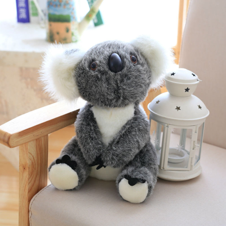 koala toys amazon